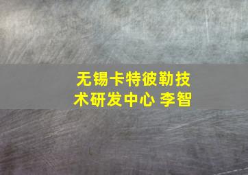 无锡卡特彼勒技术研发中心 李智